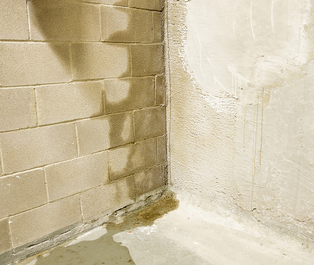 Risks of Ignoring Basement Moisture and Water Issues